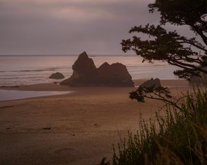 Preview wallpaper beach, sea, trees, landscape, nature