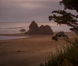 Preview wallpaper beach, sea, trees, landscape, nature