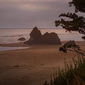 Preview wallpaper beach, sea, trees, landscape, nature