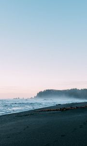 Preview wallpaper beach, sea, trees, fog, landscape, nature