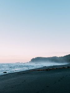 Preview wallpaper beach, sea, trees, fog, landscape, nature