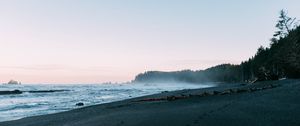 Preview wallpaper beach, sea, trees, fog, landscape, nature