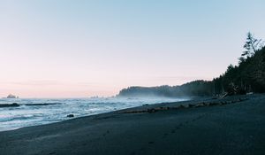 Preview wallpaper beach, sea, trees, fog, landscape, nature
