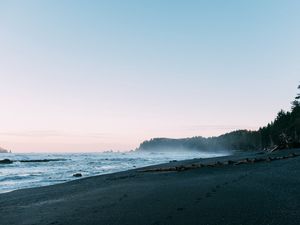 Preview wallpaper beach, sea, trees, fog, landscape, nature