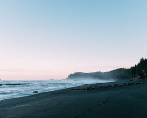 Preview wallpaper beach, sea, trees, fog, landscape, nature