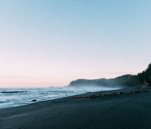 Preview wallpaper beach, sea, trees, fog, landscape, nature