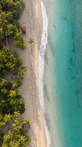 Preview wallpaper beach, sea, water, palm trees, sand, aerial view