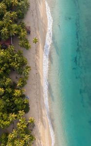 Preview wallpaper beach, sea, water, palm trees, sand, aerial view