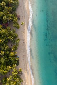 Preview wallpaper beach, sea, water, palm trees, sand, aerial view