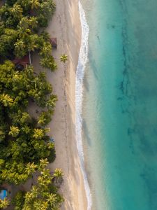 Preview wallpaper beach, sea, water, palm trees, sand, aerial view