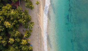 Preview wallpaper beach, sea, water, palm trees, sand, aerial view