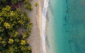 Preview wallpaper beach, sea, water, palm trees, sand, aerial view