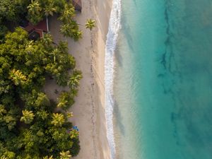 Preview wallpaper beach, sea, water, palm trees, sand, aerial view