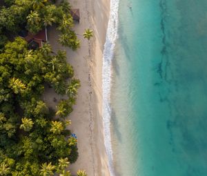 Preview wallpaper beach, sea, water, palm trees, sand, aerial view