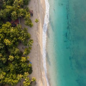 Preview wallpaper beach, sea, water, palm trees, sand, aerial view