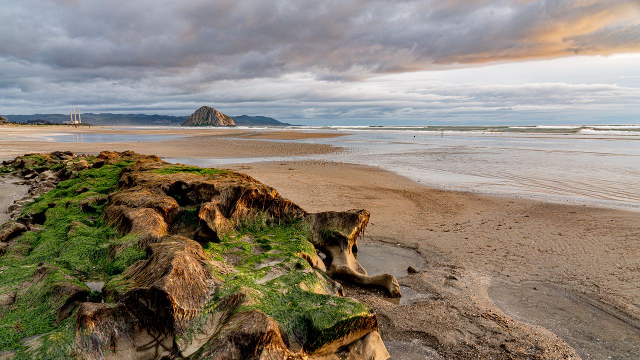 Wallpaper beach, sea, water, horizon, stones, algae