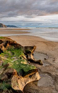 Preview wallpaper beach, sea, water, horizon, stones, algae