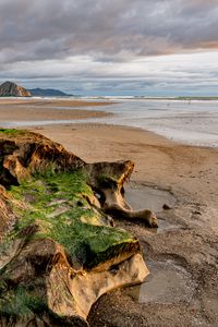 Preview wallpaper beach, sea, water, horizon, stones, algae