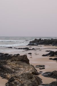 Preview wallpaper beach, seagulls, birds, rocks, waves