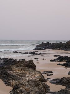 Preview wallpaper beach, seagulls, birds, rocks, waves