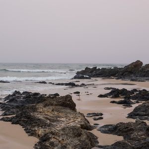 Preview wallpaper beach, seagulls, birds, rocks, waves