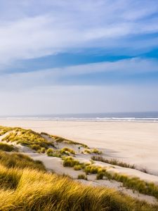 Preview wallpaper beach, shore, grass, sand, sea