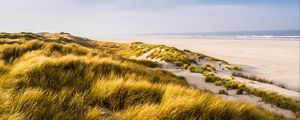 Preview wallpaper beach, shore, grass, sand, sea