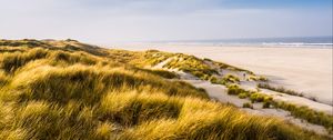 Preview wallpaper beach, shore, grass, sand, sea