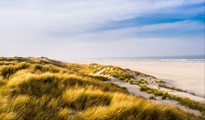 Preview wallpaper beach, shore, grass, sand, sea