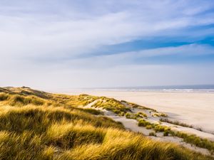 Preview wallpaper beach, shore, grass, sand, sea