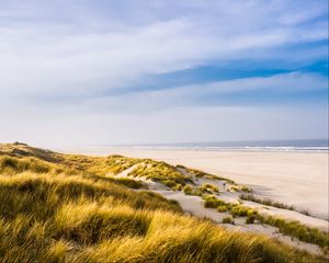 Preview wallpaper beach, shore, grass, sand, sea