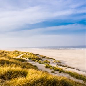 Preview wallpaper beach, shore, grass, sand, sea