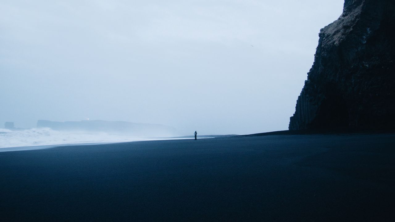 Wallpaper beach, silhouette, loneliness, birds, rock, waves, storm