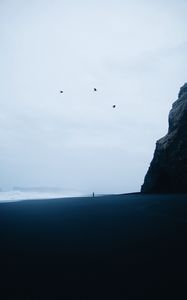 Preview wallpaper beach, silhouette, loneliness, birds, rock, waves, storm