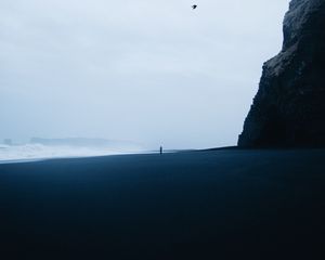 Preview wallpaper beach, silhouette, loneliness, birds, rock, waves, storm