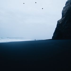 Preview wallpaper beach, silhouette, loneliness, birds, rock, waves, storm