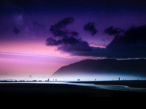 Preview wallpaper beach, starry sky, fog, shore