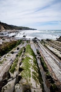 Preview wallpaper beach, stones, trees, mountains, sea, horizon, landscape
