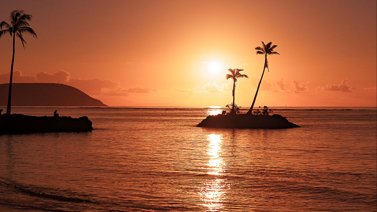 Wallpaper beach, sunset, island, sea, palm trees