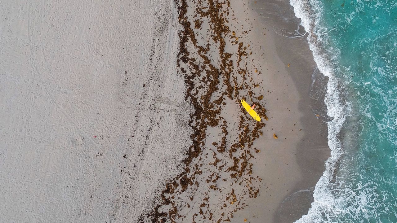 Wallpaper beach, surfer, aerial view, waves, sea