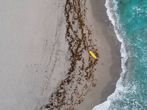 Preview wallpaper beach, surfer, aerial view, waves, sea