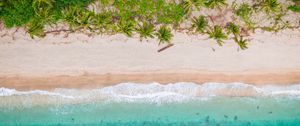 Preview wallpaper beach, top view, shore, palm trees, sand