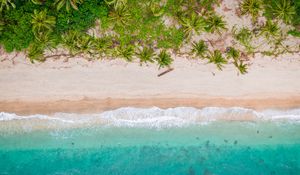 Preview wallpaper beach, top view, shore, palm trees, sand