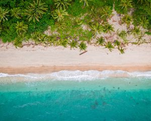 Preview wallpaper beach, top view, shore, palm trees, sand