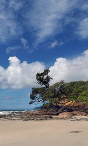 Preview wallpaper beach, trees, sand, shore, nature