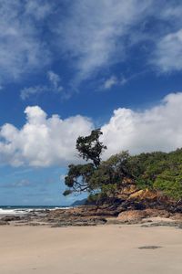Preview wallpaper beach, trees, sand, shore, nature