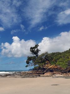 Preview wallpaper beach, trees, sand, shore, nature