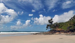 Preview wallpaper beach, trees, sand, shore, nature