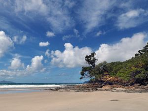 Preview wallpaper beach, trees, sand, shore, nature