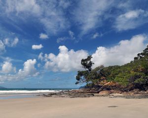 Preview wallpaper beach, trees, sand, shore, nature